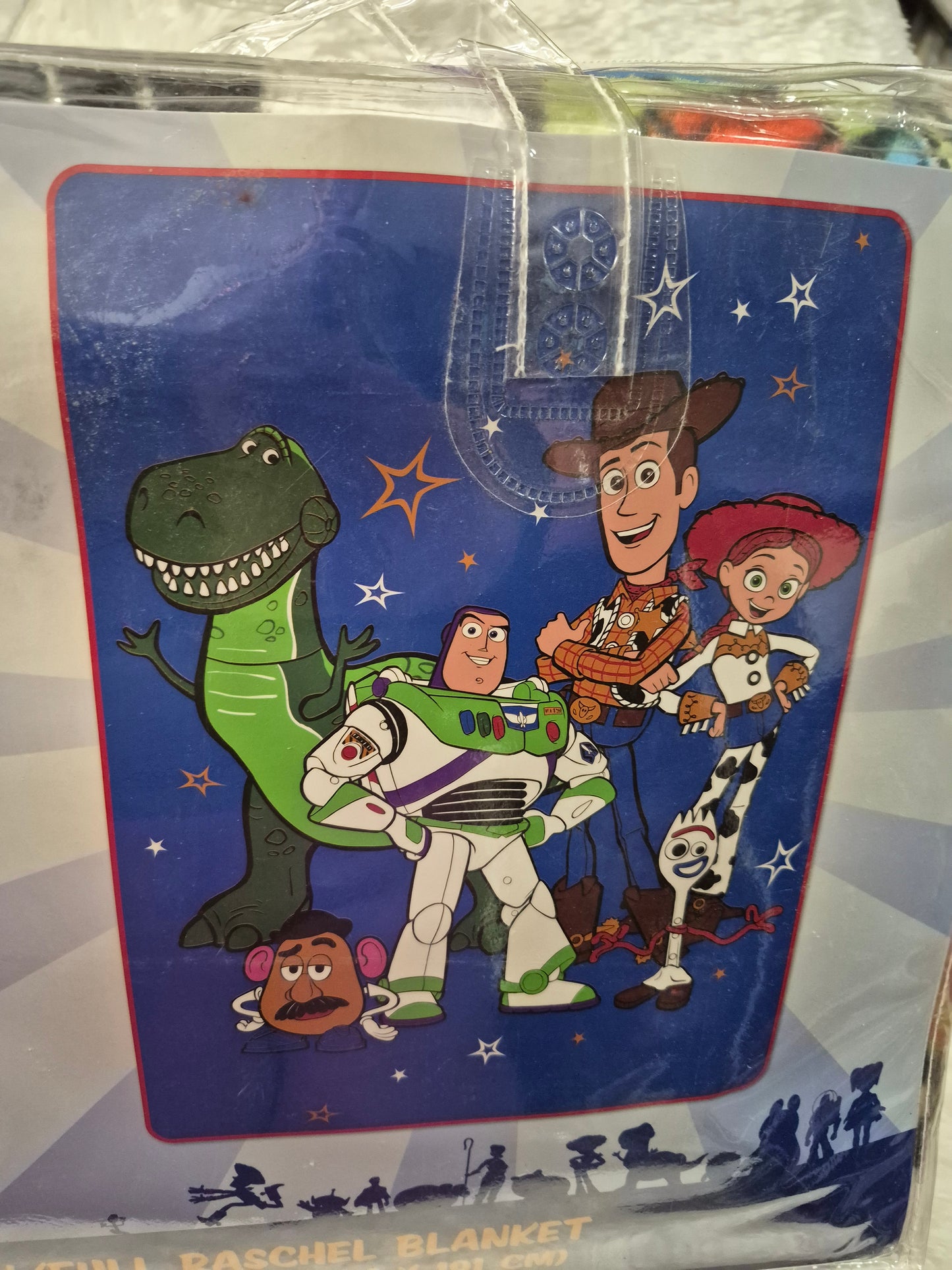 Twin Raschel Blanket Toys Story