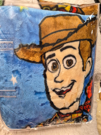 Twin Raschel Blanket Toys Story